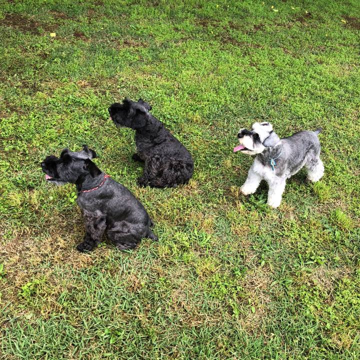 66f32461 65eb 4761 94ad 2828d0b9e84b 1529814516534