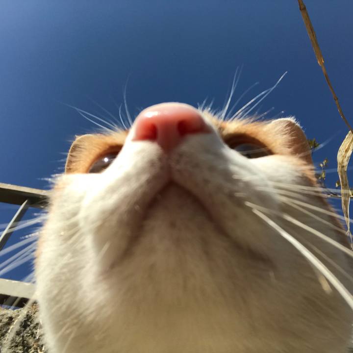 66f33c49 c792 4d42 ab1a cd2040a2aab6 1519530362546