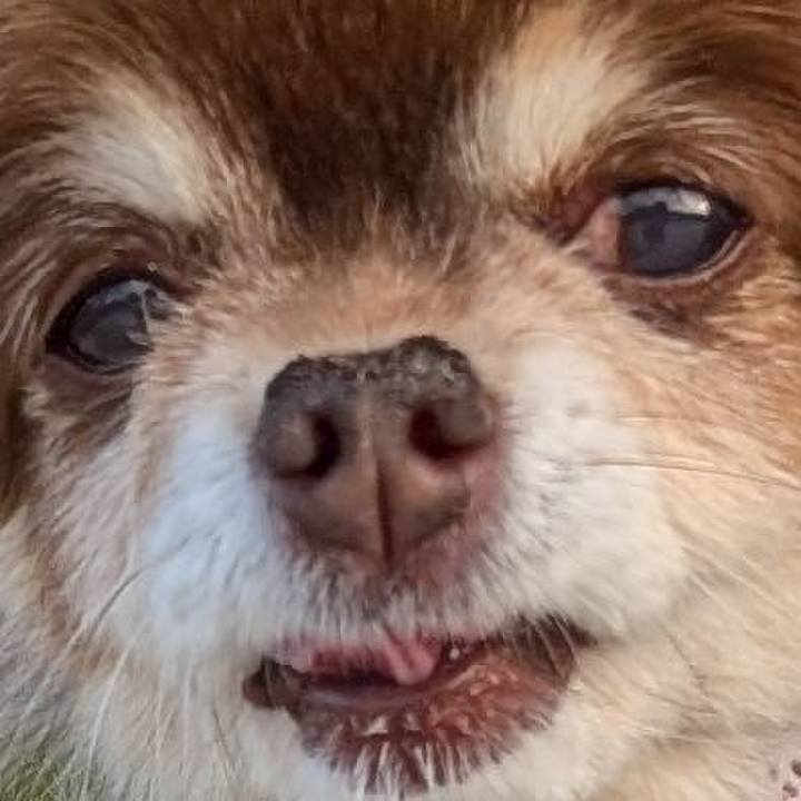 66f38831 9878 4fd5 ab99 692860ddfc71 1764077044522