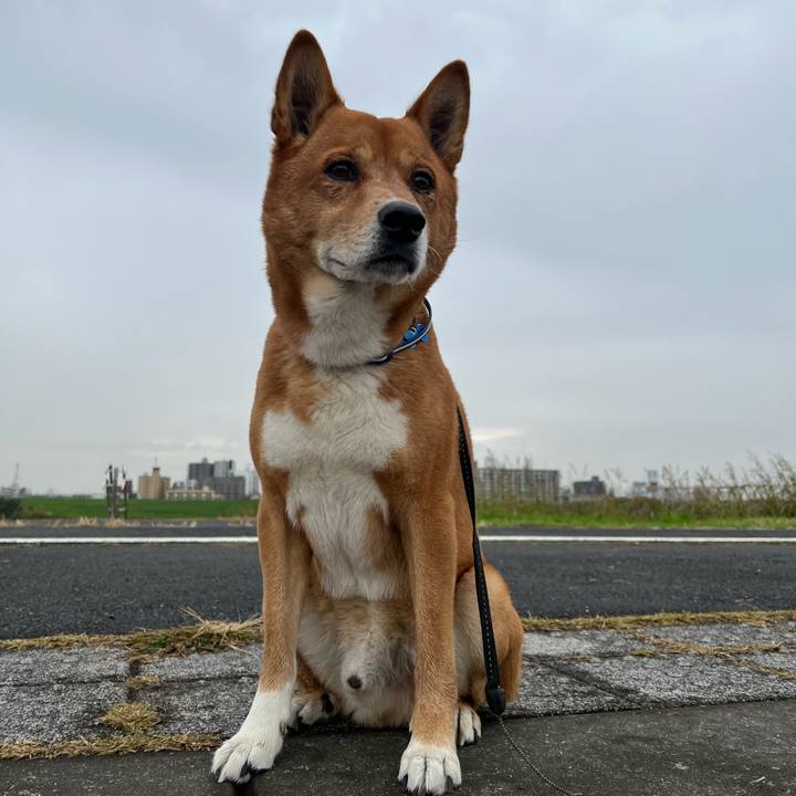 66f38f91 7af2 47e4 83b9 7bc98fb0912d 1669451563292