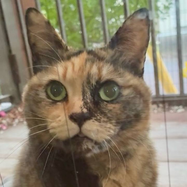 66f3916a 7e89 40c9 81fe 1a37138f92ef 1772023467411