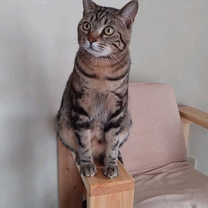 66f3a0ca 9b60 4c7f a8b0 1c5c95648042 1708679105079