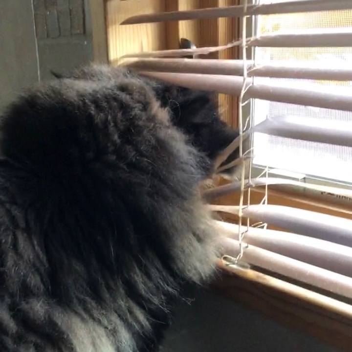 66f3b8ba b119 4da8 b7fa 0bd7f21ebd4a 1560779091086