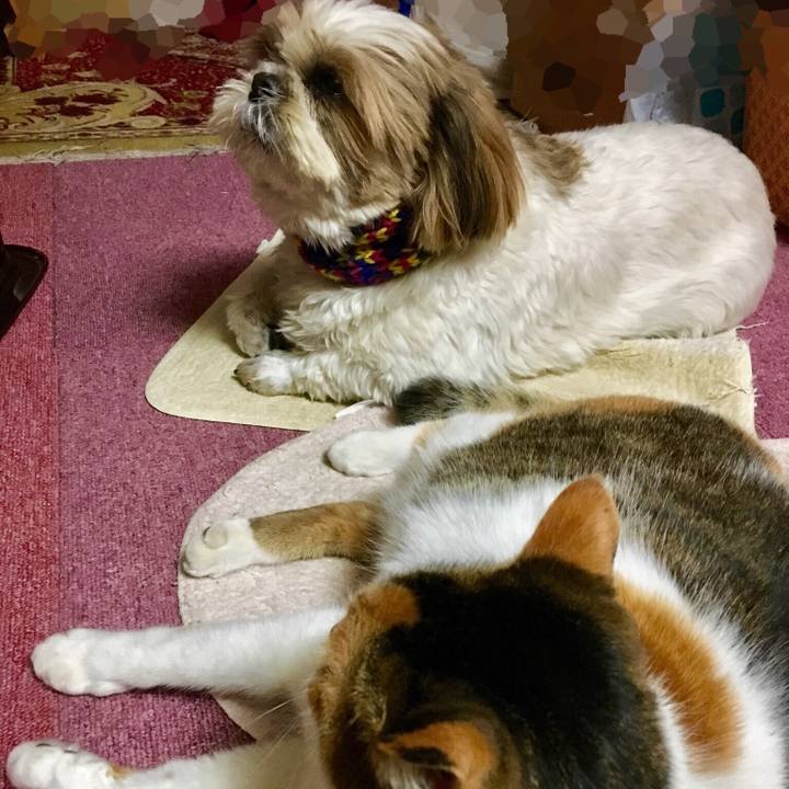 66f3d93f 7602 487d a23a 29dbc5b707c3 1515928764313