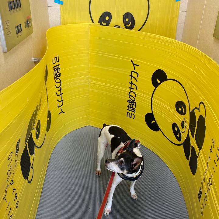 66f4053a 1f2e 4967 9f10 9ae8ba345f33 1600654069139