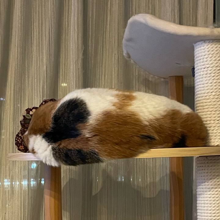 66f40e0d 299e 4ccd 8a32 7faa9ba9f0e1 1756466514859