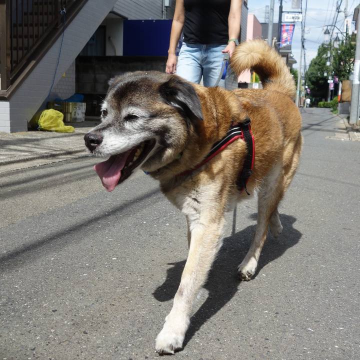 66f42b78 cce0 4331 8b08 d8b78f37913e 1531015640607