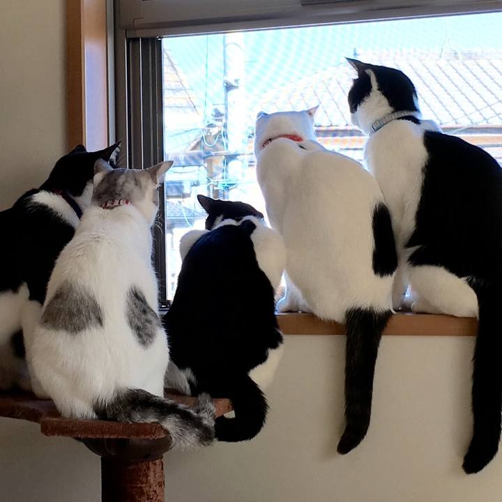 66f43f1c e2ee 4d12 bae3 1a9b1a3cea97 1635682784258