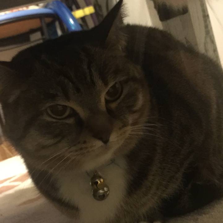 66f45960 7c89 43e7 92c7 f7cf6b26a191 1553873920341