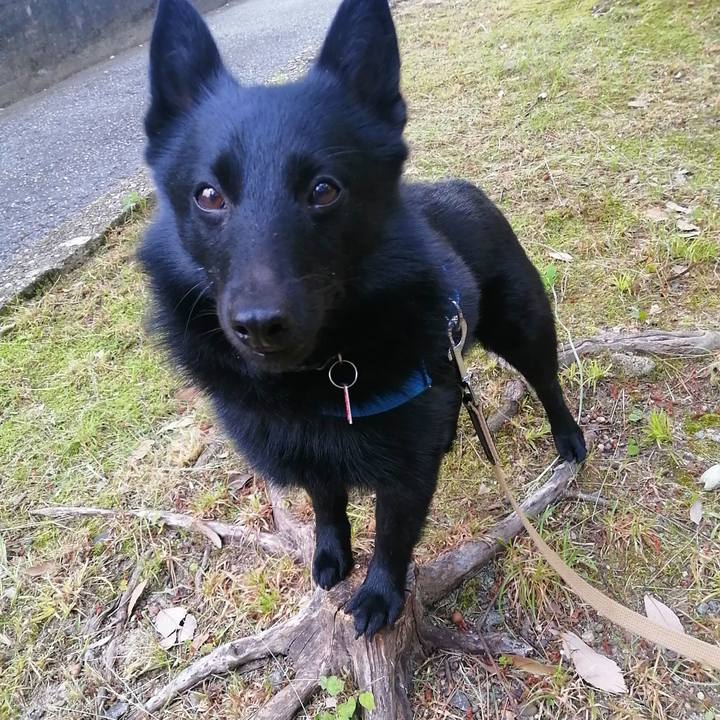 66f46683 2d29 4e1d ba7a 56a7f2f9e5ee 1623448328583