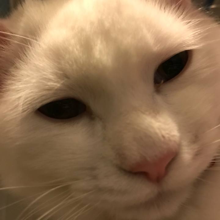 66f51fcd 4ed8 401a 999c 97814be9e944 1513862829539