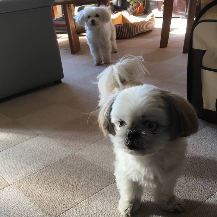 66f52333 713e 43c5 9631 88551ccf77fc 1547475257416