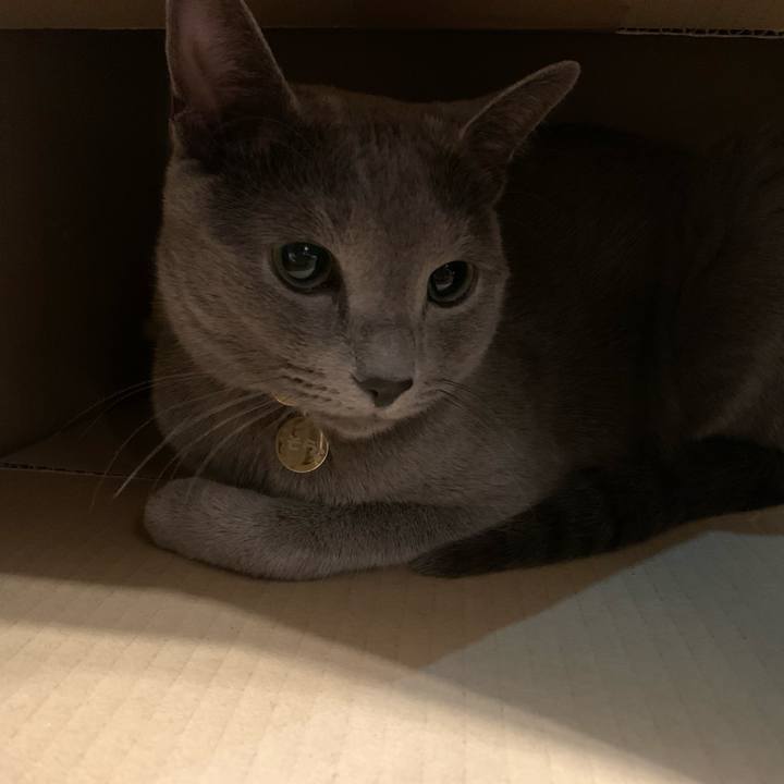 66f52e42 ab98 43e6 8bae 5d7d5e0eb45e 1609419860295