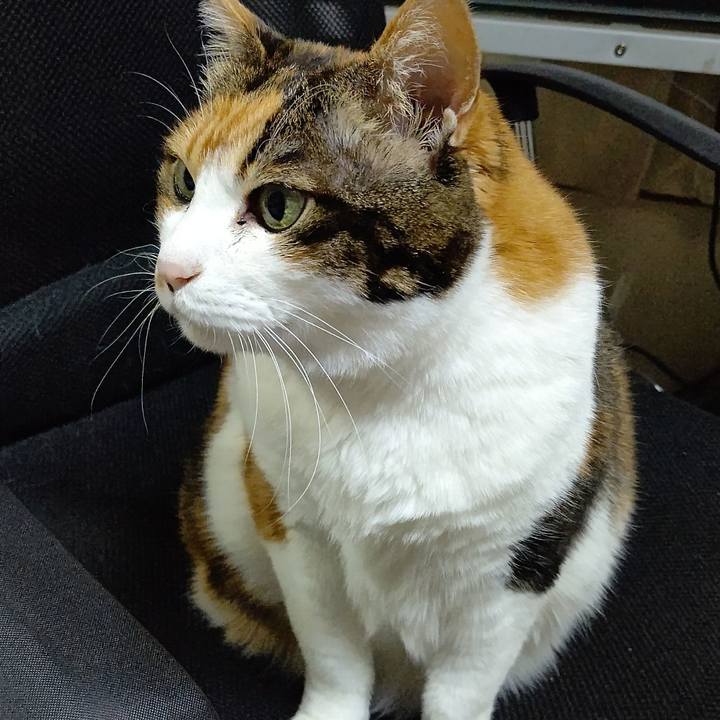 66f574f9 da9c 4f7b bd44 c224ee590459 1645191978573