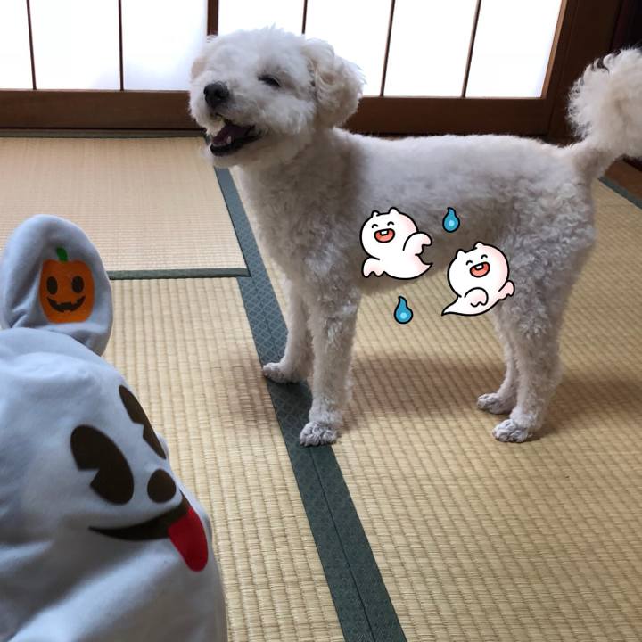 66f579e0 b2d9 48fd bc1e a60a05936dcb 1539522947437