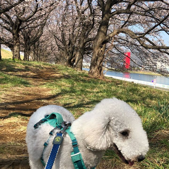 66f59530 74b3 4c0a 80c8 0199f57ad96c 1679743320879