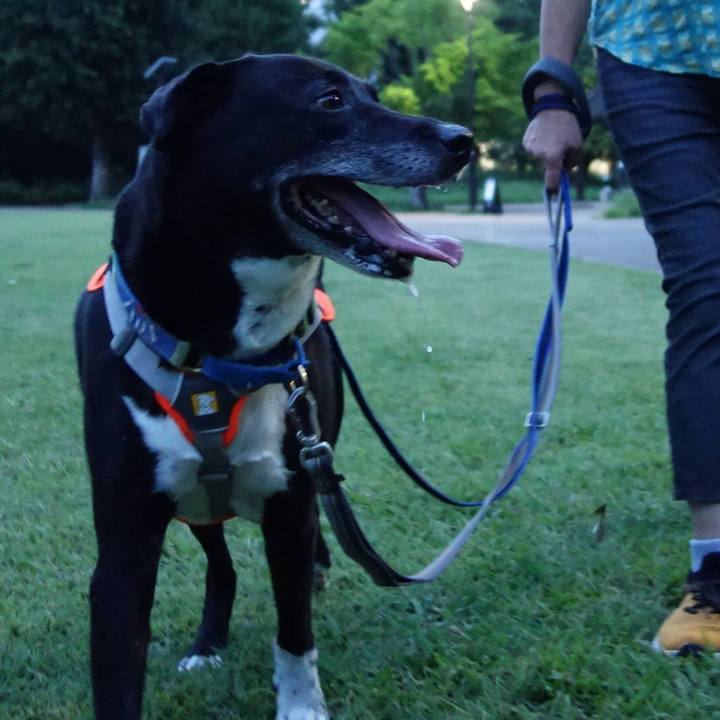 66f5b245 2c8b 42b8 a38c 8aaf0e8cbb20 1721991889594