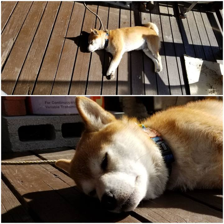 66f5c5b2 399c 44f2 aefc bcb109265c73 1564182103417