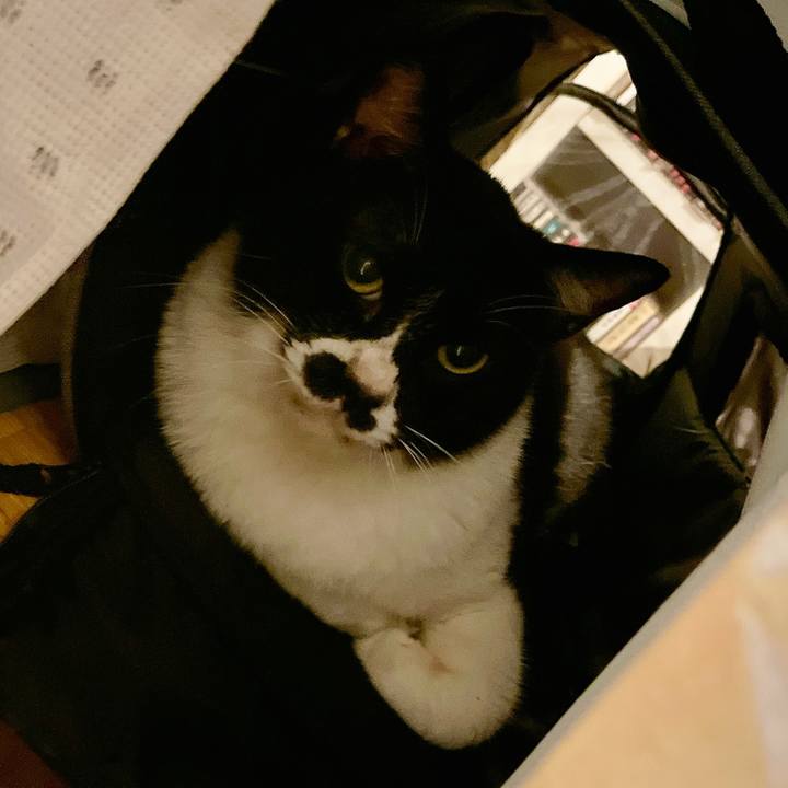 66f5e179 4845 49c1 aa43 2a30b85e80a9 1686054639793