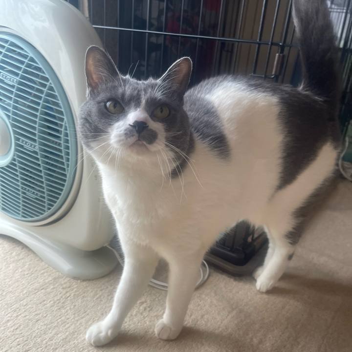 66f5f10c fc54 4d7d 82ca 27a4d9170a79 1712631963535