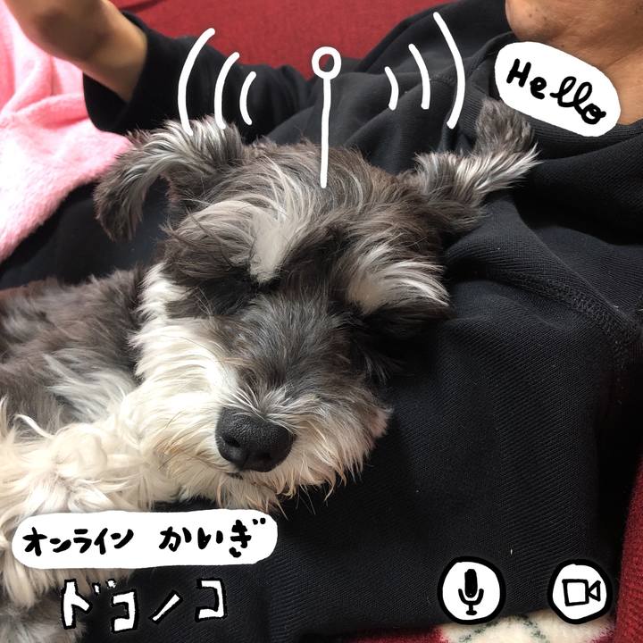 66f5f25a 30f4 4ac9 a449 6cc58ca458ab 1590836412453