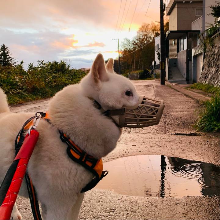 66f5fd23 ffa1 4fc2 b023 6d1f15686da7 1666559781905