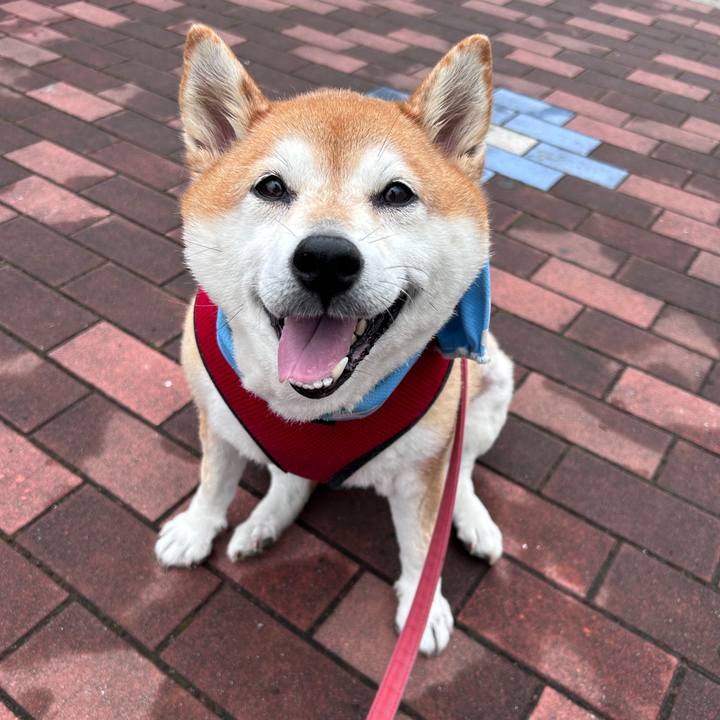 66f620c3 a6db 4f9e 8439 35befd97c101 1726442058087