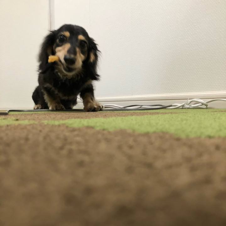 66f63584 47c5 4e13 94a2 491053004748 1562457320362