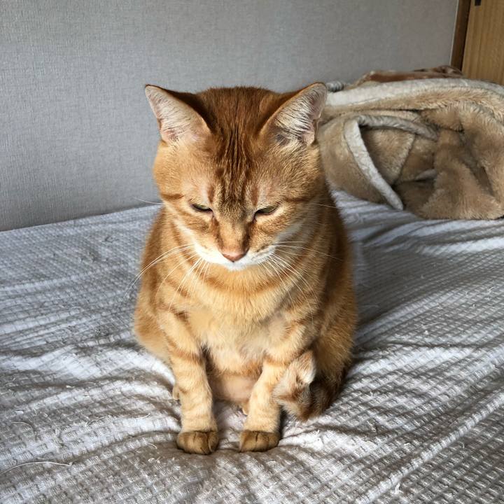 66f6377a 822b 4cdf b61c 8de557d58b16 1602455338979