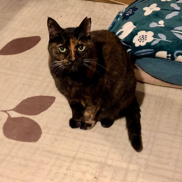 66f67018 97e1 49e0 bb25 cc9ed05033c6 1671931228029