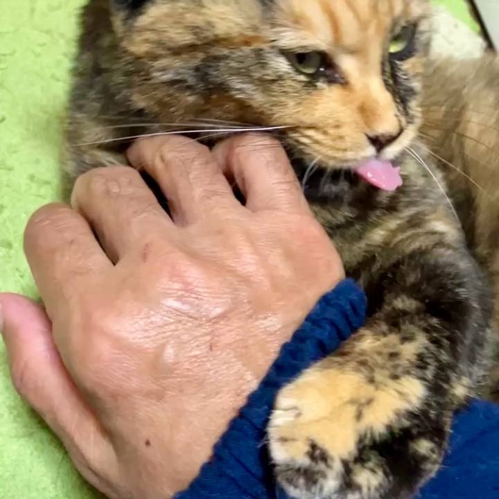 66f68234 c172 40eb a837 739c2a2f1352 1730660105212