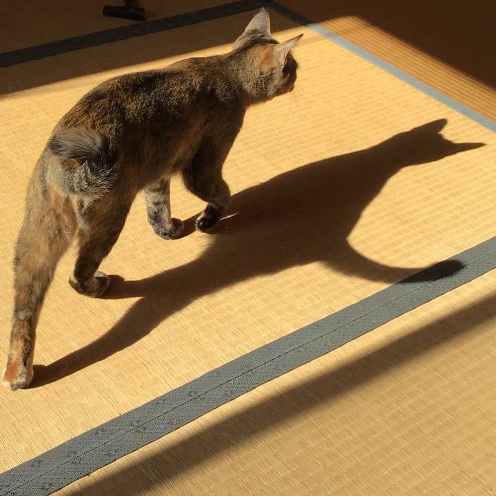 66f69d15 35e9 419a b8c7 d9e8153bb145 1577155693420