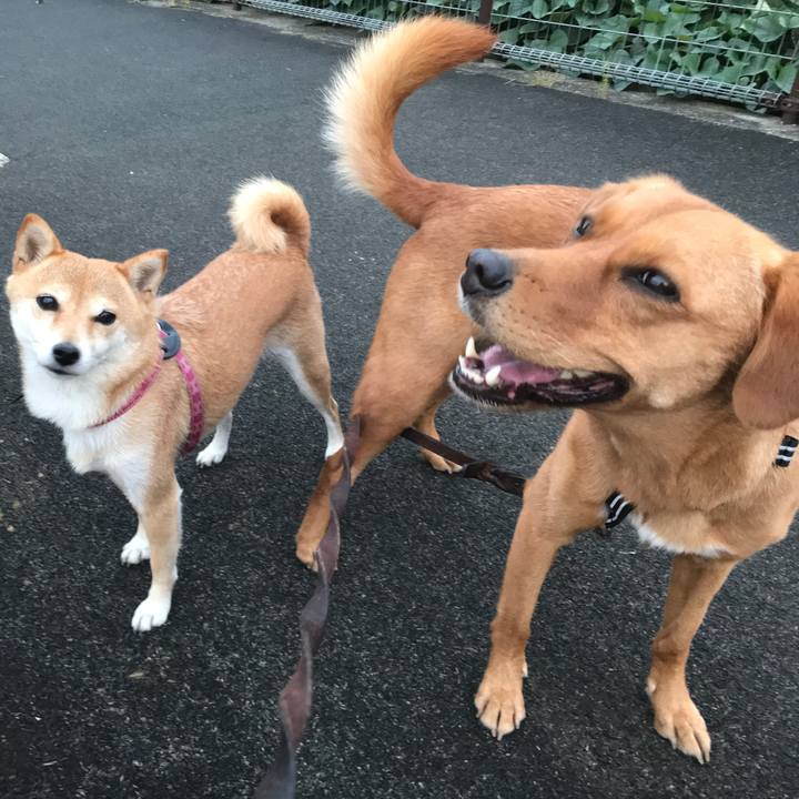 66f6a4d3 e483 4b99 81a2 2016f811737d 1538556454285