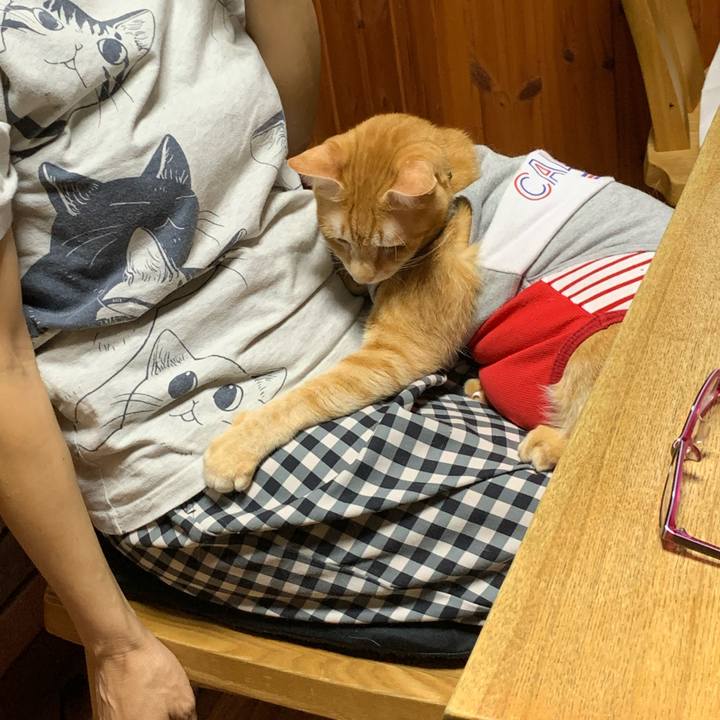 66f6c8cd 1fd0 4ef4 8c2b 1fd4f4c7fc63 1600687965019