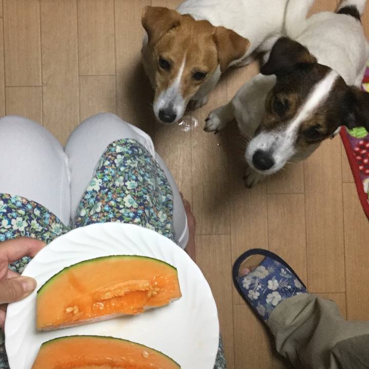 66f6f464 8e04 4c37 ab89 87a1b7e35542 1532341457236