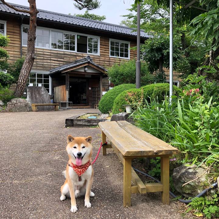 66f729cb 6111 4873 8cfa 3f6235d10b42 1560846520161