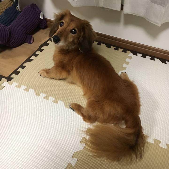 66f74a70 b6fd 4a86 a19e 71f8ec4e2ca1 1624627961008