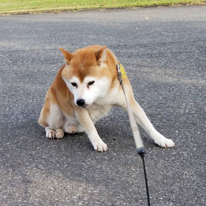 66f7677b b520 4967 b546 5ee8b662b584 1635401510460