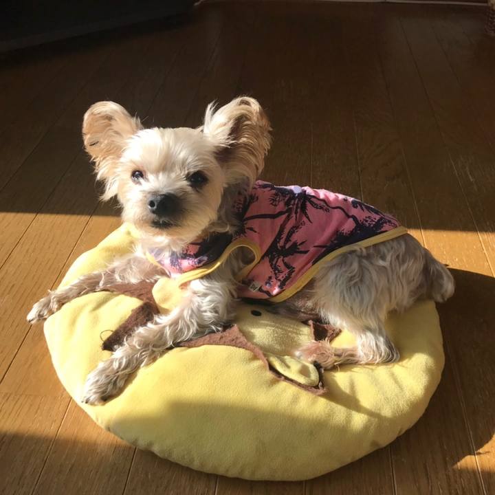 66f791f1 f510 4743 a8a9 25aeee71c602 1574506211158