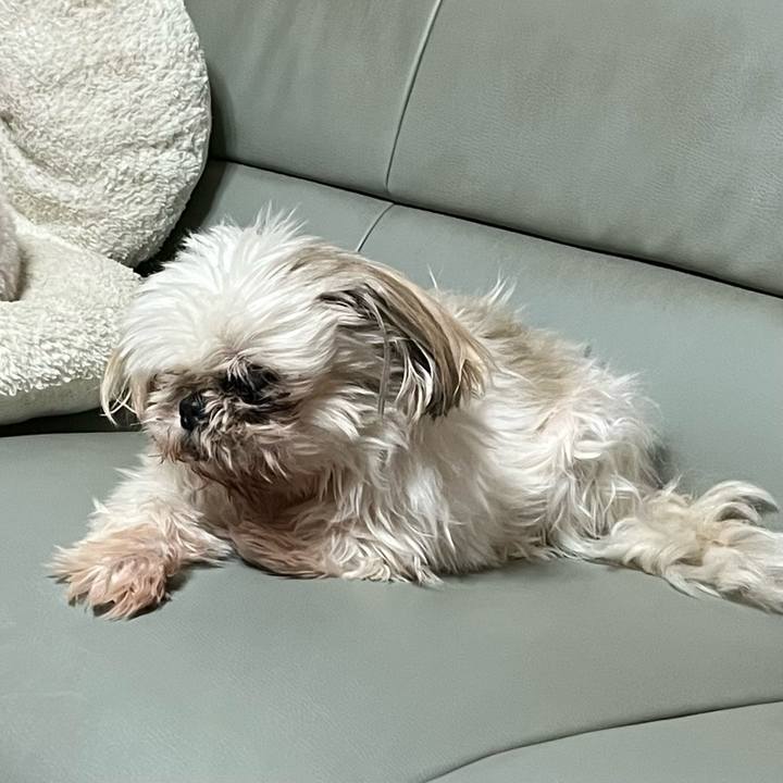 66f7a2c9 f981 493a 8494 1ec08d51dd65 1763538291509