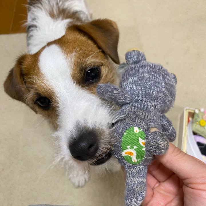 66f7b343 7ea6 4fb5 82ad bb171b40688d 1683452398584