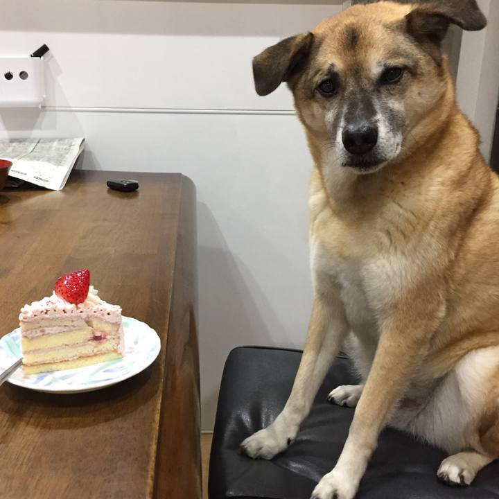 66f7c54d 65d9 4b46 b270 9fcce6a9749f 1542022467275