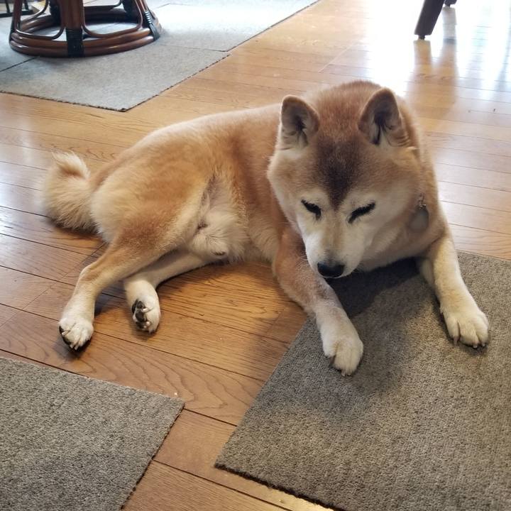 66f7e6bf e545 4f4d 8e5f 75e5f612ae32 1740526254767