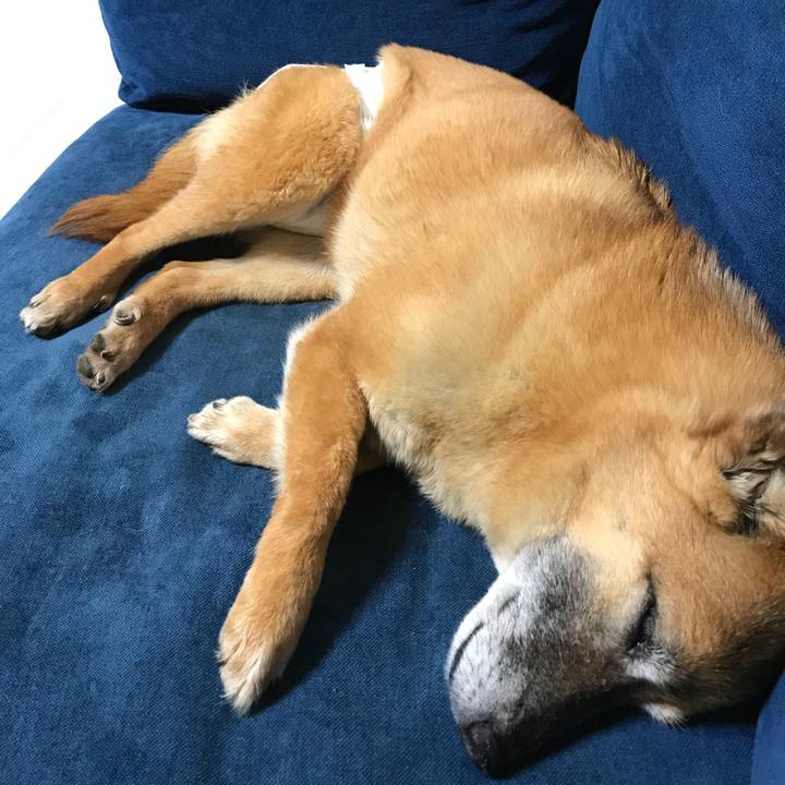 66f84995 0e5b 4a84 ad78 5ee477682e7d 1528548017794