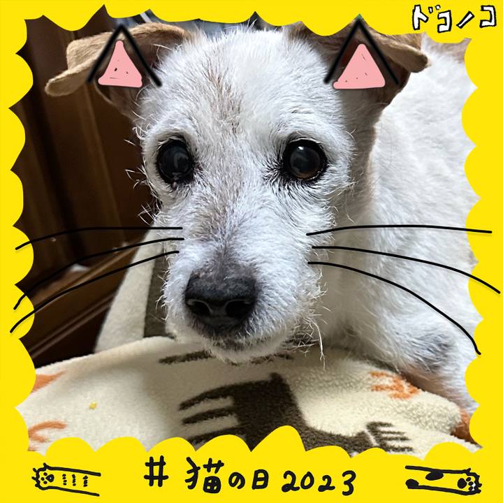 66f89daf f020 44cf bbb2 60fd8996c0e0 1677058069429