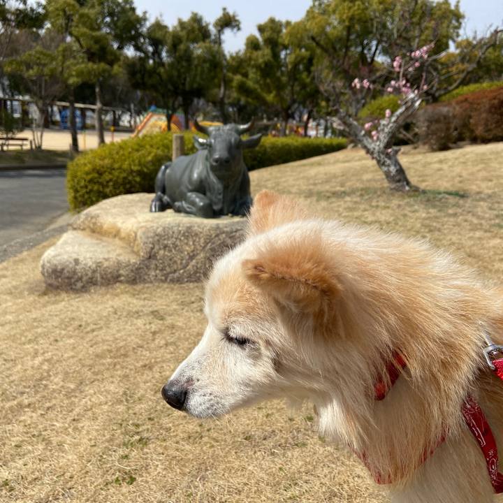 66f8a61a 10d4 4225 a966 22613dc703a9 1646893476377