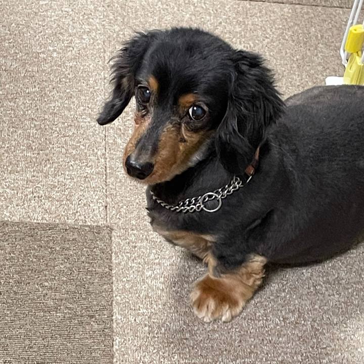 66f8e879 f3b6 4582 90d4 0809843f9638 1609018009171