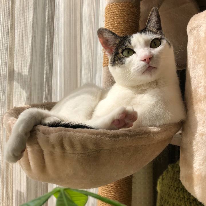 66f91053 f35d 4bd0 b364 a4b4176d325a 1710473693808