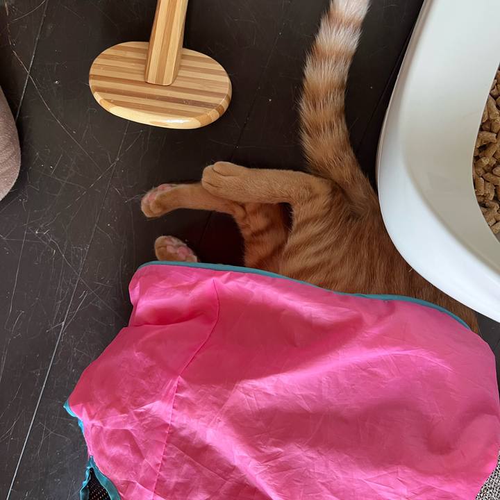 66f9585b 599b 43ba ba35 af8d5af081a2 1649547378451