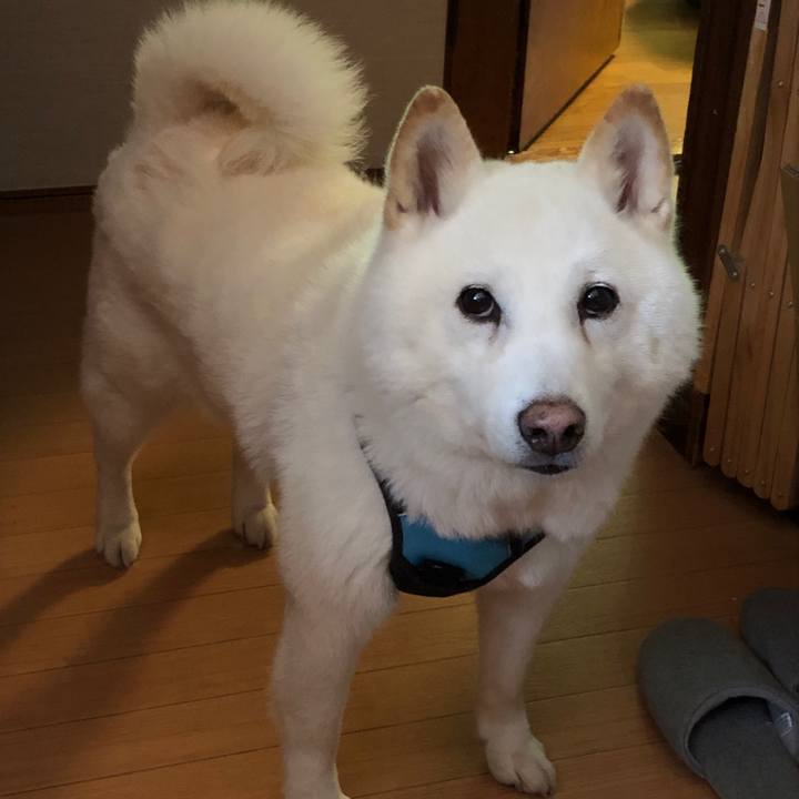 66f97471 ca1b 4386 97e9 da9e69b2721d 1717404816286